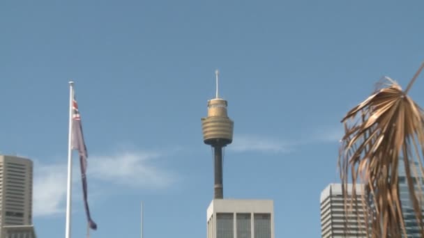 Skyline von Sydney — Stockvideo