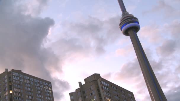 Cn tower w Toronto — Wideo stockowe