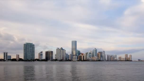 Miami Skyline Timelapse — Vídeo de Stock