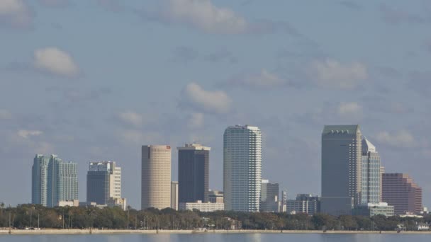 Zeitraffer der Skyline von Tampa — Stockvideo