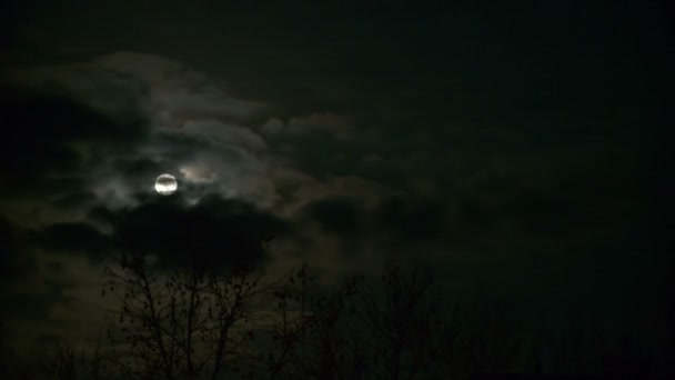 Lune la nuit