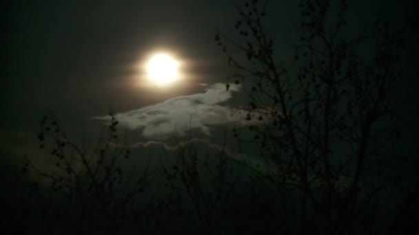 Måne på natten — Stockvideo