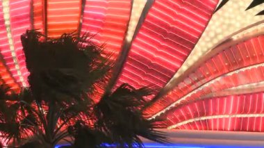 flamingo las vegas casino