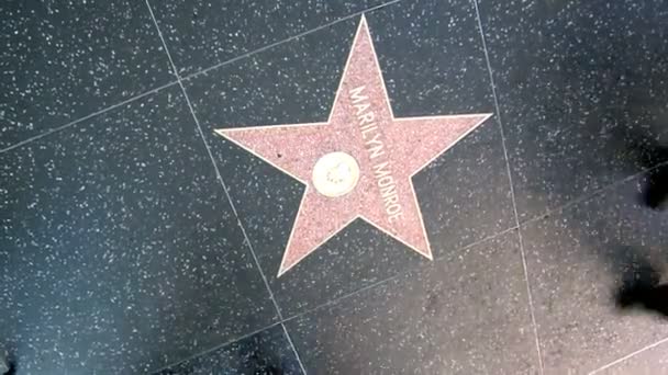 Walk of Fame Marilyn Monroe — Stock Video