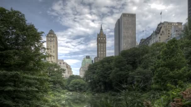 Central Park mit Skyline — Stockvideo