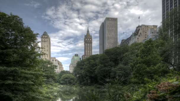 Central park met skyline — Stockvideo