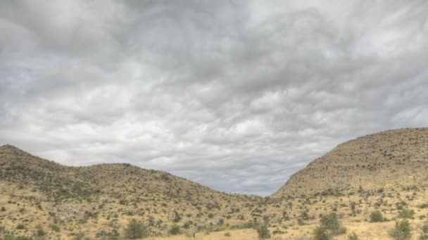 HDR Timelapse Coronado National Forrest — Stock Video