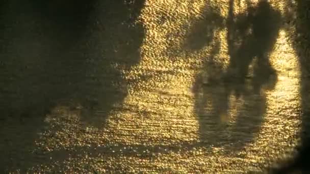 水反射早晨的太阳 — 图库视频影像