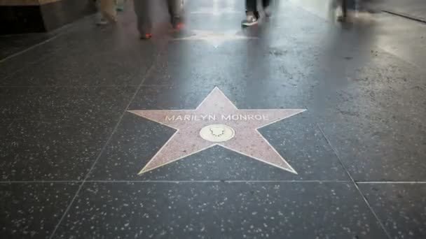 Walk of Fame Marilyn Monroe — Stock Video