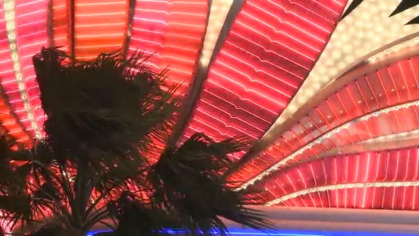 Лас-Вегас казино фламінго — стокове відео