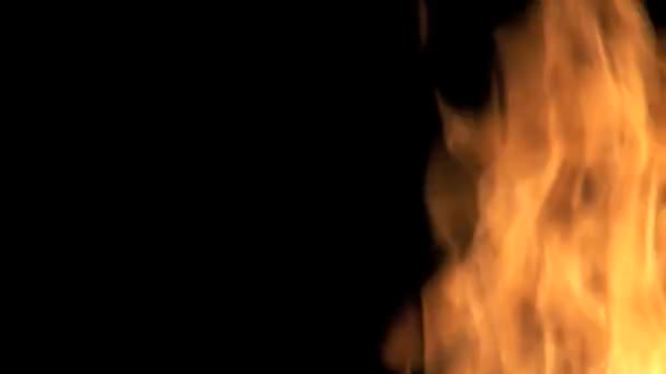 Fuoco ardente — Video Stock