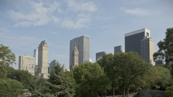 HDR Timelapse Central Park — Stok video