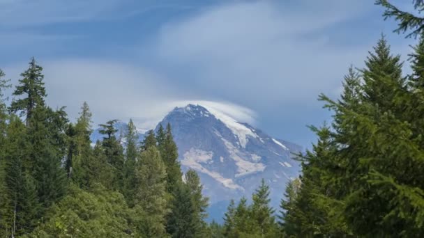 Mt. Rainier — Stok video