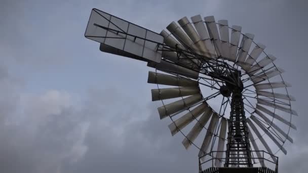 Historic windmill — Stock Video