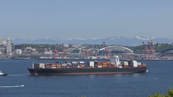 Seattle containerschip — Stockvideo