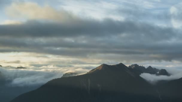 Mt. Rainier — Wideo stockowe