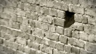 siyah beyaz kerkenez