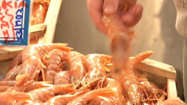 Crevettes sur le marché — Video