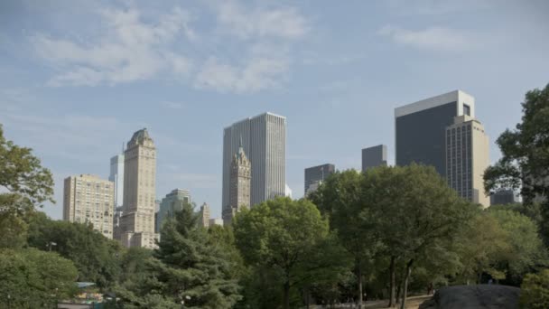 Central Park mit Skyline — Stockvideo