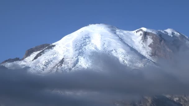 Mt. Rainier — Stockvideo