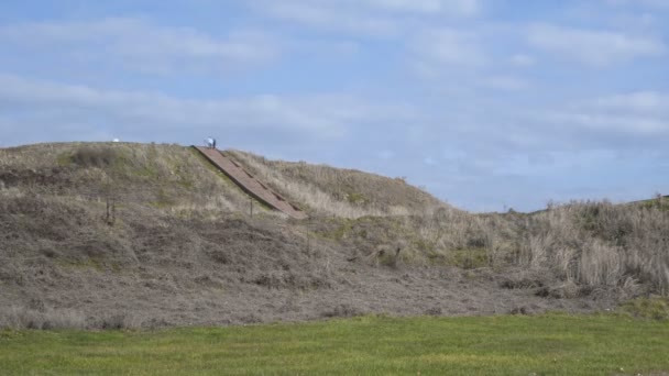 Montañas prehistóricas de Cahokia, IL — Vídeo de stock