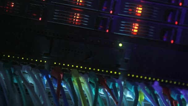 Server Rack blue toned — Stock Video