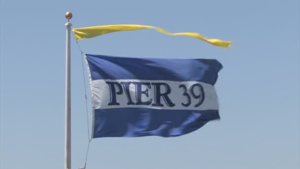 Muelle 39 bandera soplando en el viento — Vídeos de Stock