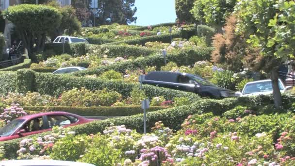 Mobil berliku di jalan Lombard — Stok Video