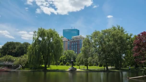 Mensen die varen in boston public garden — Stockvideo