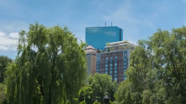波士顿公共花园的摩天大楼 — 图库视频影像