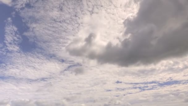 Baie de St Georges à Grenade — Video