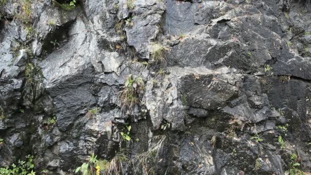 Les ressources en eau naturelles aux rochers 