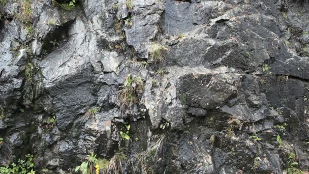 Recursos Hídricos Naturais nas Rochas — Vídeo de Stock