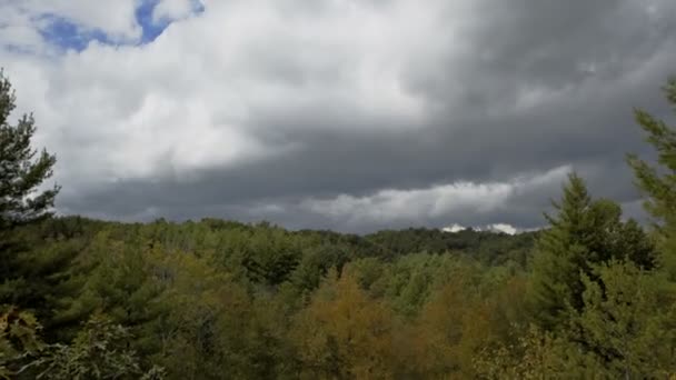 Blue ridge parkway forrest en wolken — Stockvideo