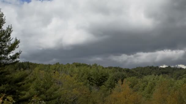 Blue ridge parkway forrest och moln — Stockvideo