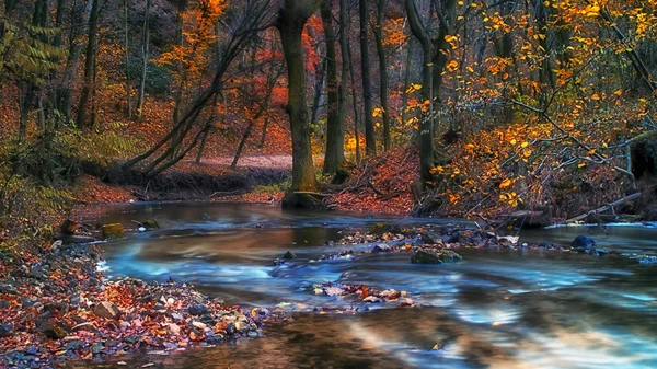 Río y bosque noruego — Foto de Stock