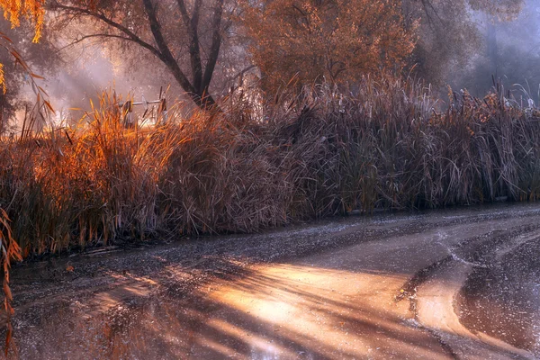 Frosted lake in de winter — Stockfoto