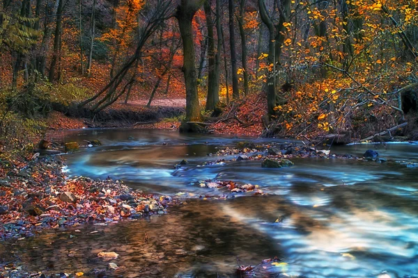 在冬天森林里美丽的河 — 图库照片