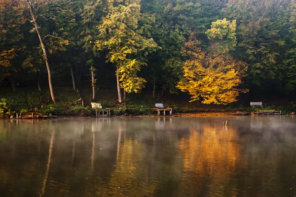 Nádherné norské jezero a podzimní Les — Stock fotografie