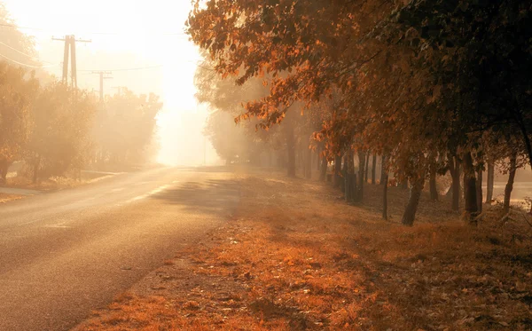 Strada solitaria in una mattina fredda e nebbiosa — Foto Stock