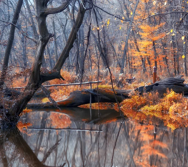 Lago noruego con bosque de otoño — Foto de Stock