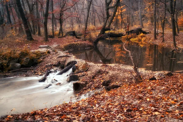 Herfst bos en rivier — Stockfoto