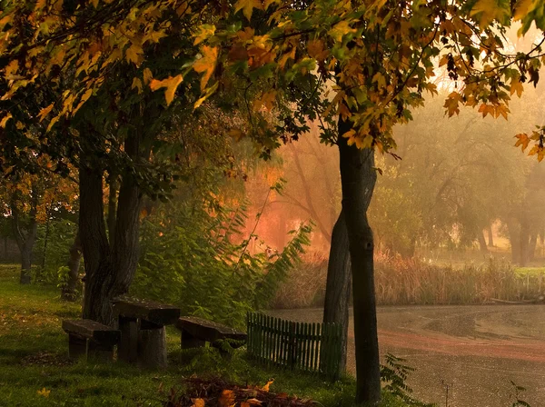 Bosque y lago de otoño — Foto de Stock
