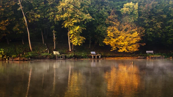 Lindo lago com floresta de outono — Fotografia de Stock