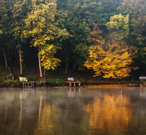 Lindo lago de outono com floresta — Fotografia de Stock