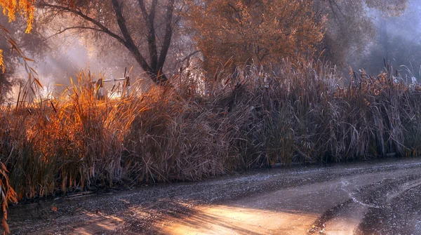 Замерзшее озеро на закате — стоковое фото