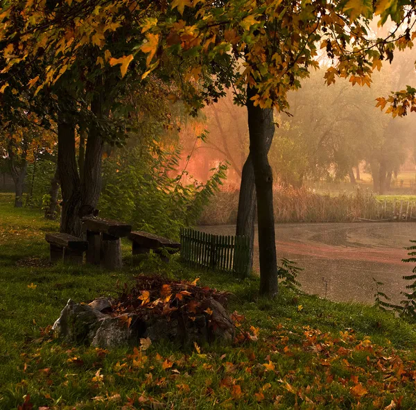 Paisaje con lago y bosque — Foto de Stock