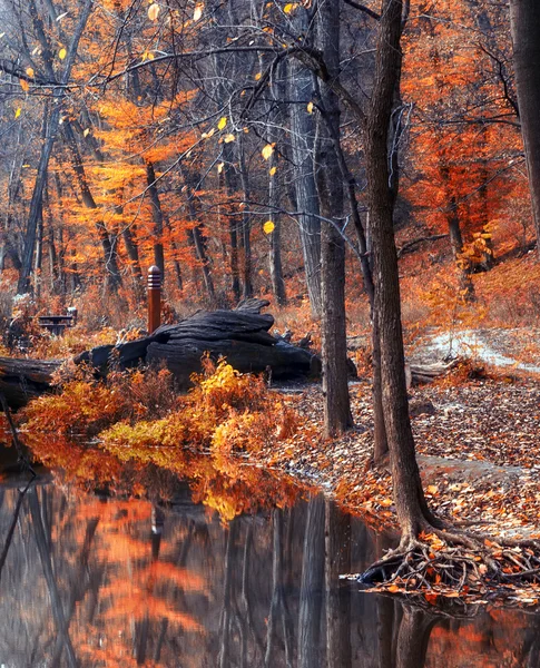 Paesaggio con bellissimo fiume e foresta — Foto Stock