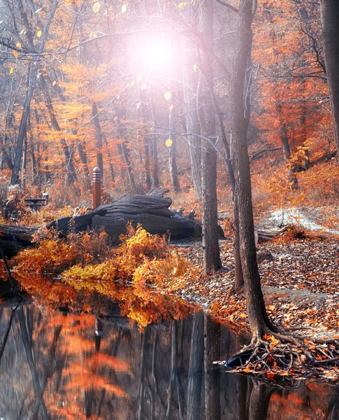 美しい川や森を風景します。 — ストック写真
