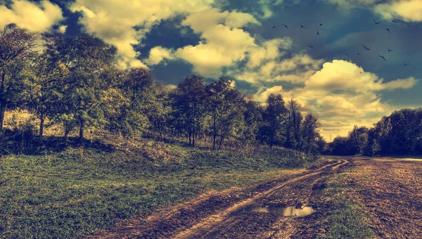 Panorama de campo con paisaje nublado —  Fotos de Stock